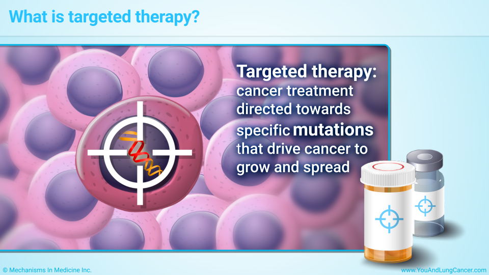 Slide Show Targeted Therapy In Non Small Cell Lung Cancer