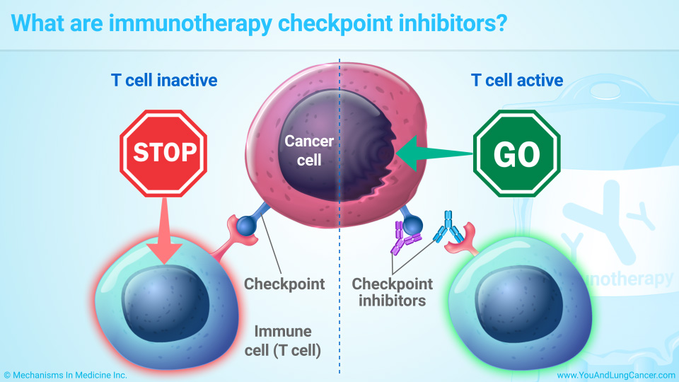 Immunotherapy for breast cancer mechanism of action