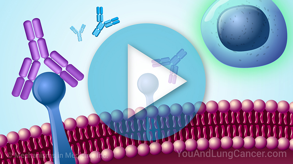 Animation - Understanding Immunotherapy for NSCLC with PD-1 and PD-L1 Biomarkers