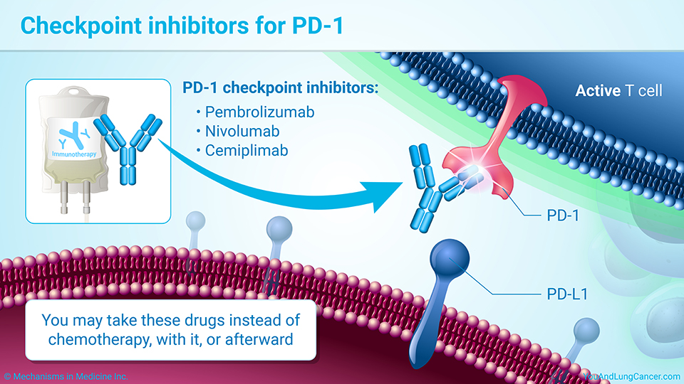Checkpoint inhibitors for PD-1