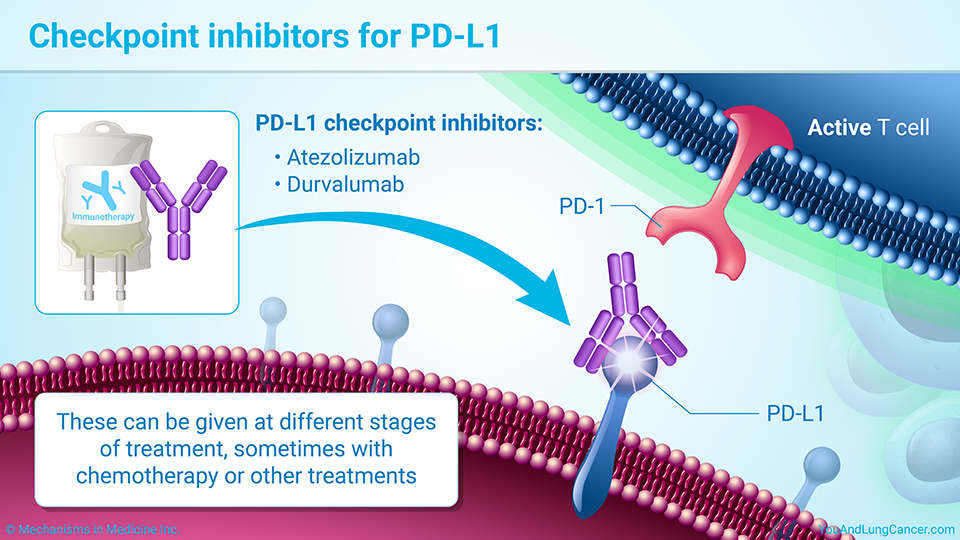 Checkpoint inhibitors for PD-L1