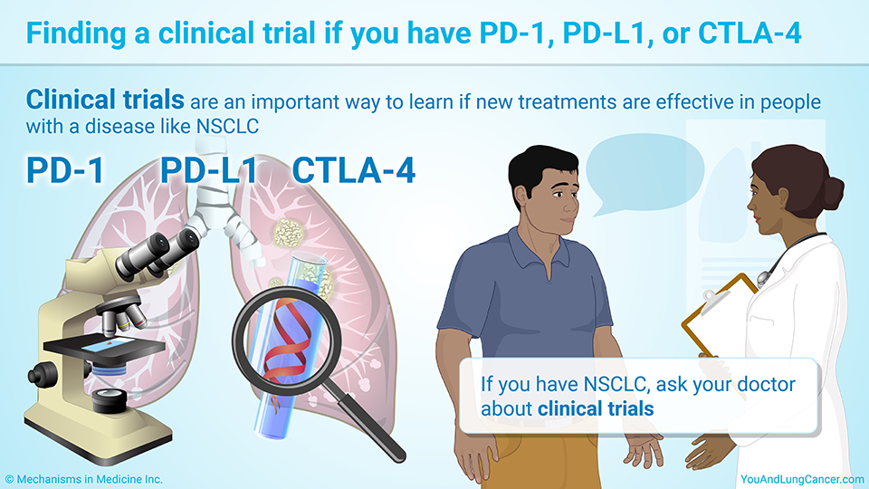 Finding a clinical trial if you have PD-1, PD-L1, or CTLA-4