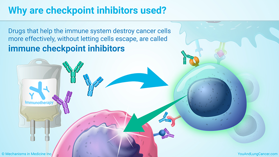Why are checkpoint inhibitors used?
