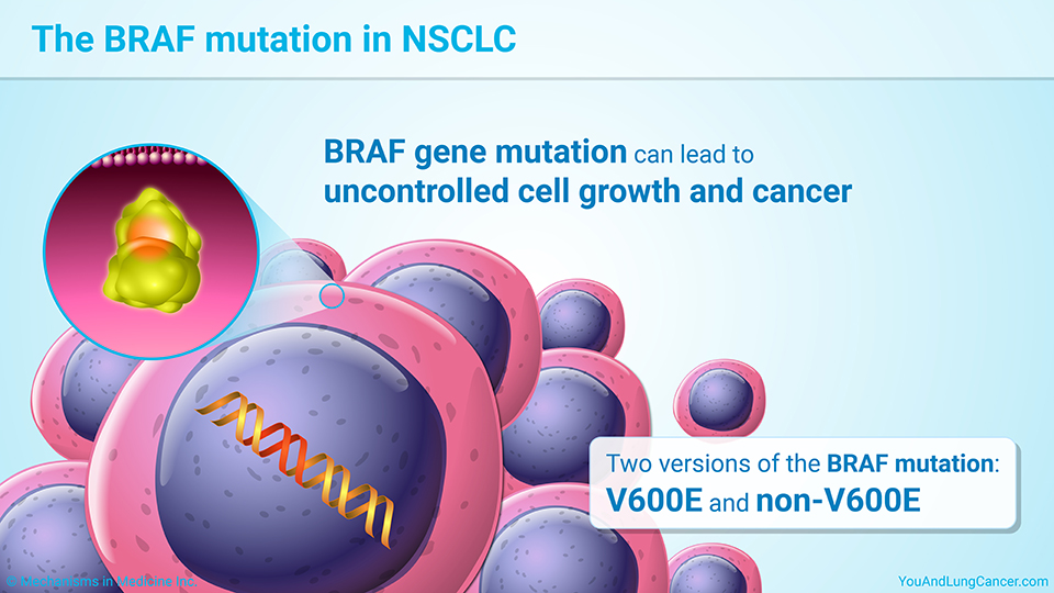 The BRAF mutation in NSCLC