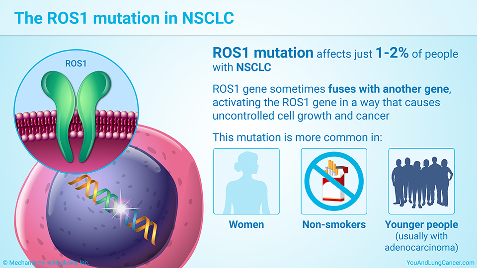 The ROS1 mutation in NSCLC