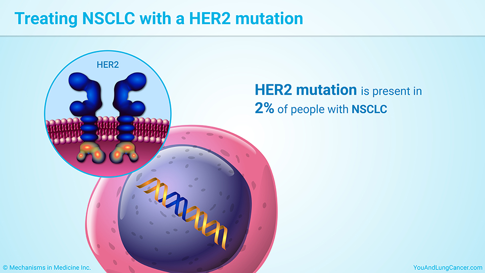 Treating NSCLC with a HER2 mutation