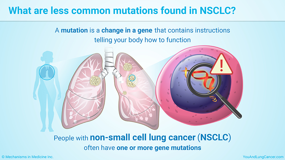 What are less common mutations found in NSCLC?