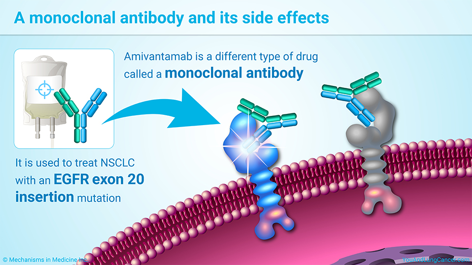 A monoclonal antibody and its side effects