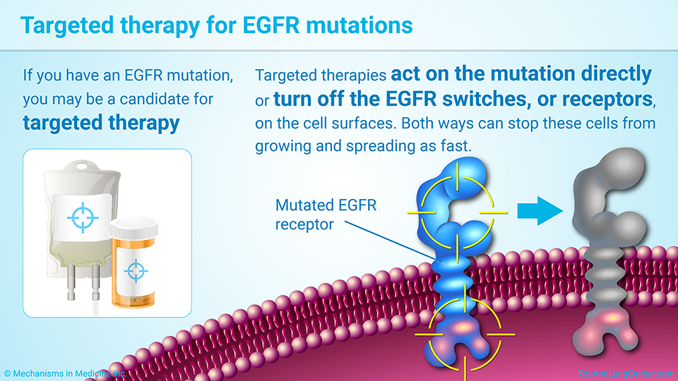 Targeted therapy for EGFR mutations