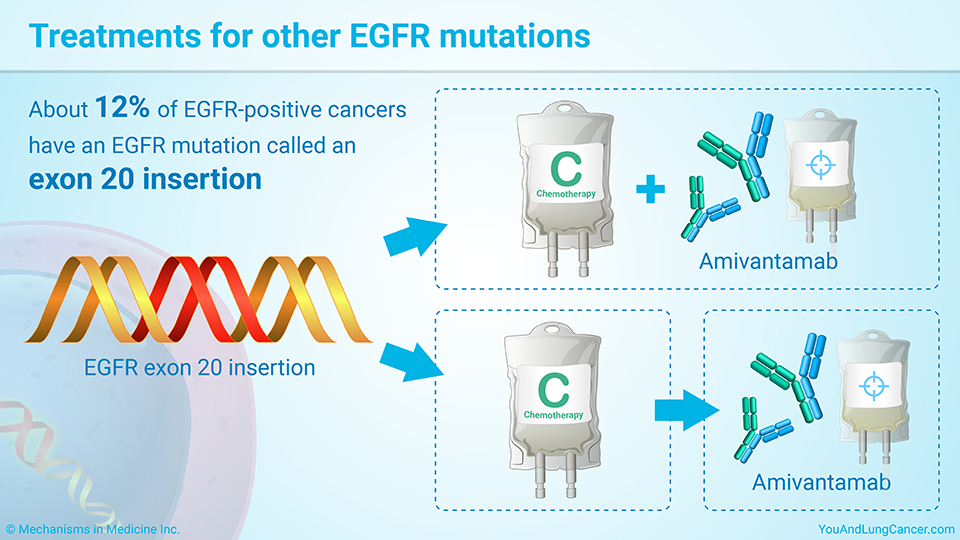 Treatments for other EGFR mutations